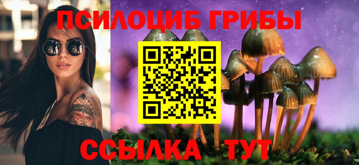 Псилоцибиновые грибы ЛСД Балахна