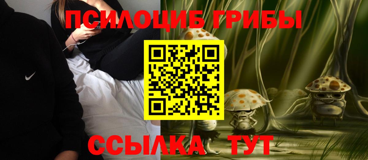 Балахна  Галлюциногенные грибы Psilocybe  Вход с VPN 